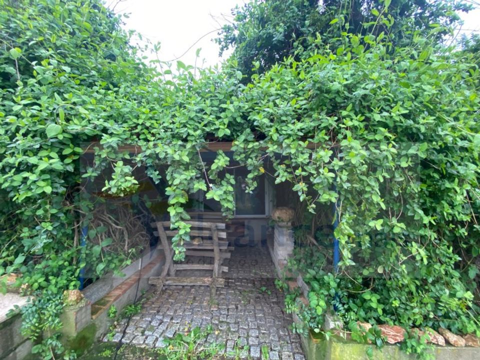 Farm i Vila Verde de Ficalho, Beja - foto 2