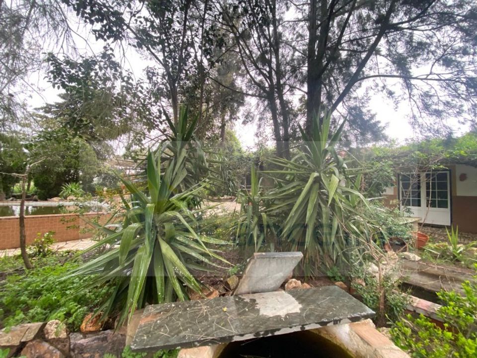 Farm i Vila Verde de Ficalho, Beja - foto 3