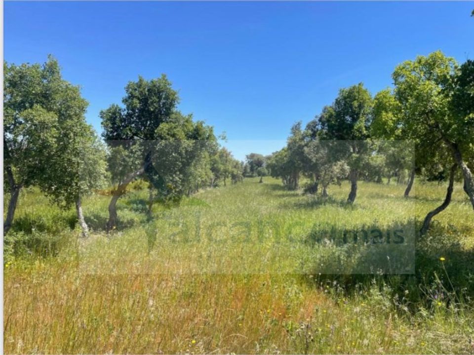 Landejendom i Reguengos de Monsaraz, Evora - foto 1