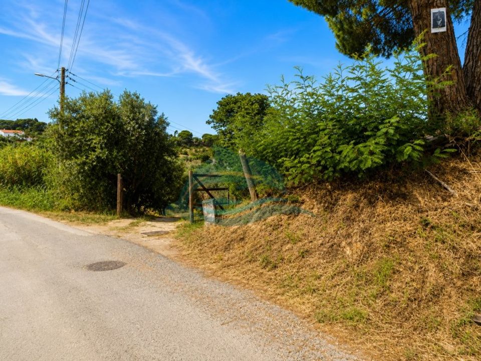 Farm i Azambuja, Lisbon - foto 1