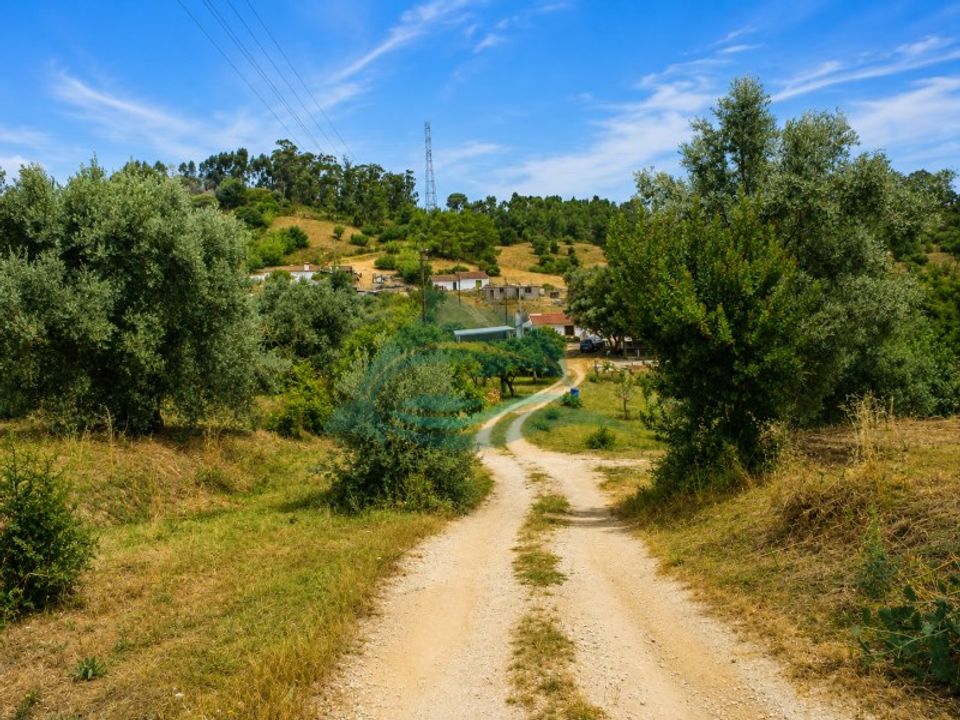 Farm i Azambuja, Lisbon - foto 2
