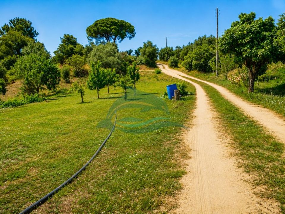 Farm i Azambuja, Lisbon - foto 3