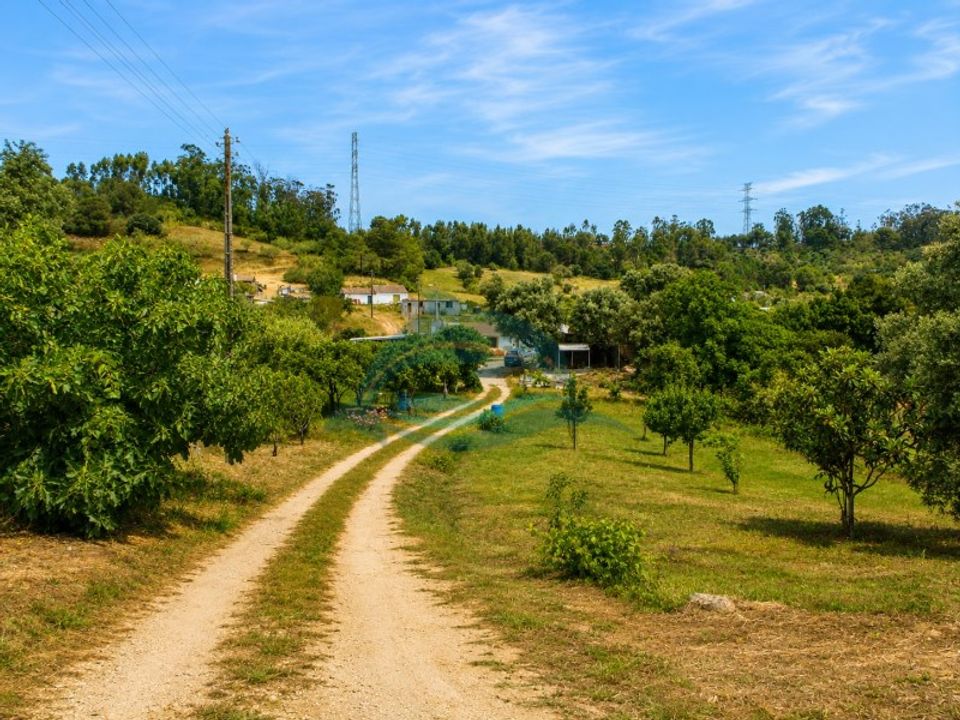 Farm i Azambuja, Lisbon - foto 4