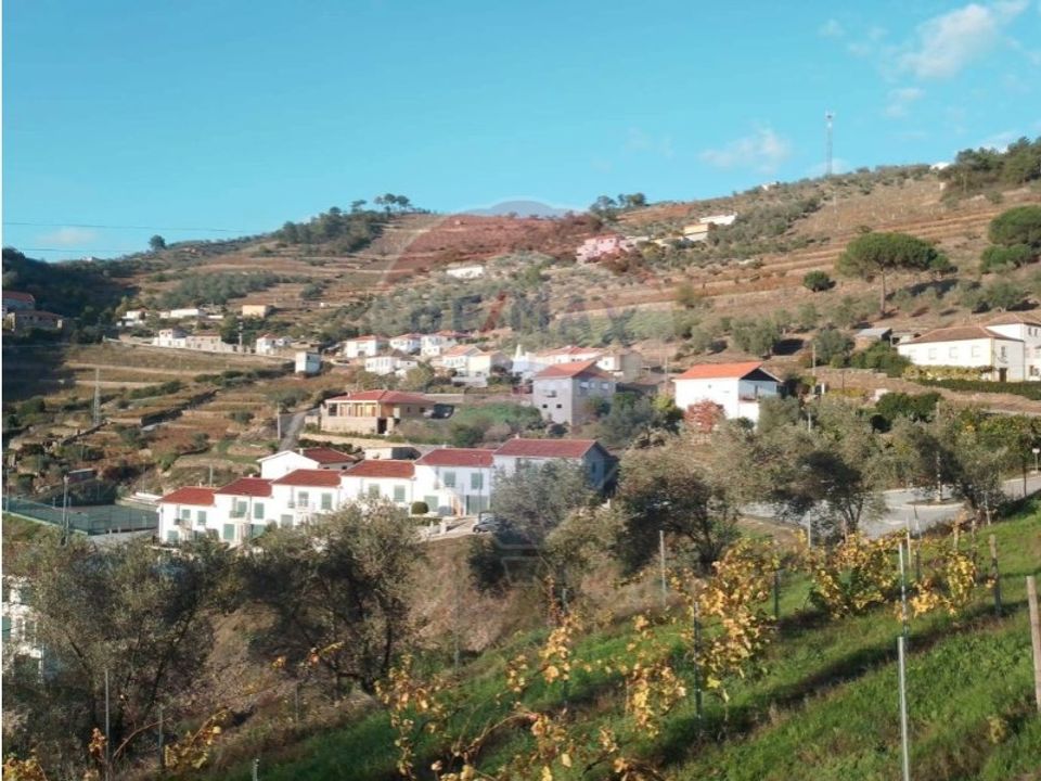 Farm i Alvacoes do corgo, Vila Real - foto 2