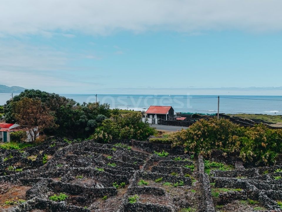 Helårsgrund i Madalena, Pico - foto 4
