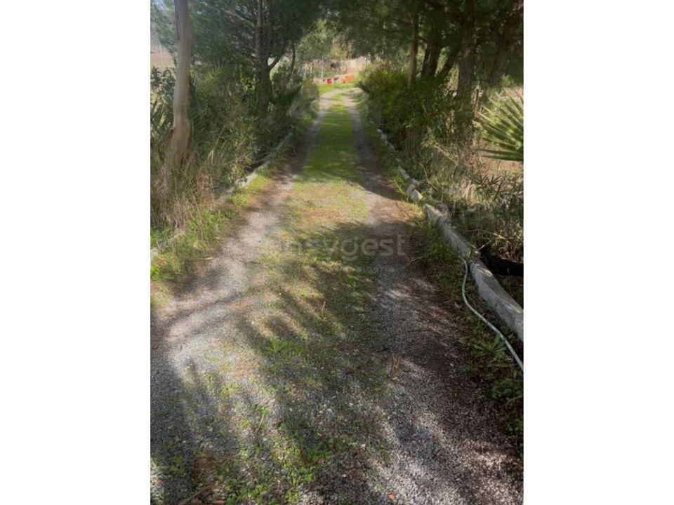 Helårsgrund i Vila Verde de Ficalho, Beja - foto 4