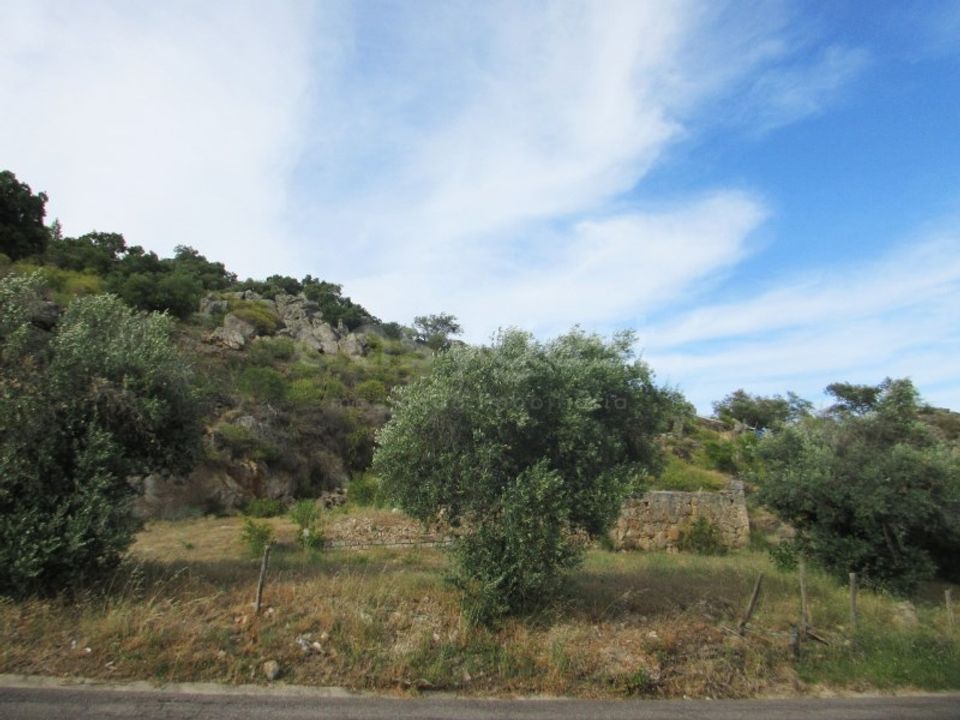 Helårsgrund i Ladoeiro, Castelo Branco - foto 5