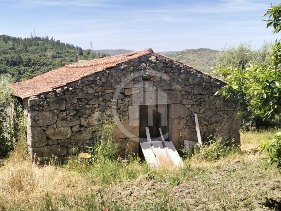 Terra a Celorico da Beira, Guarda - foto 5