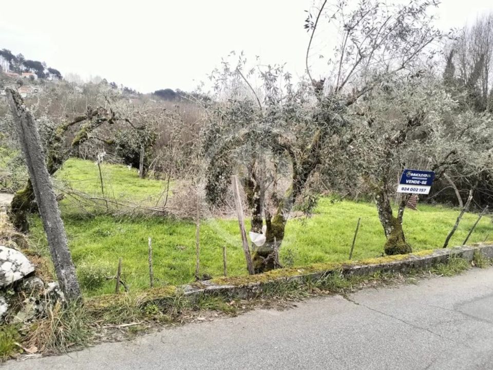 Helårsgrund i Viseu, Viseu - foto 2