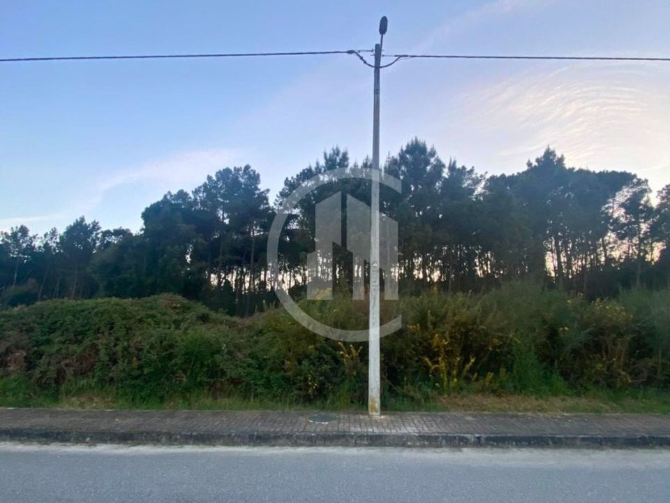 Tomt i Cabanas de Viriato, Viseu - bilde 1
