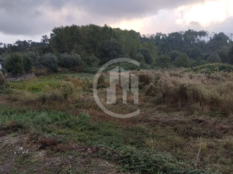 Terreno Cavernaes, Viseu - foto 1