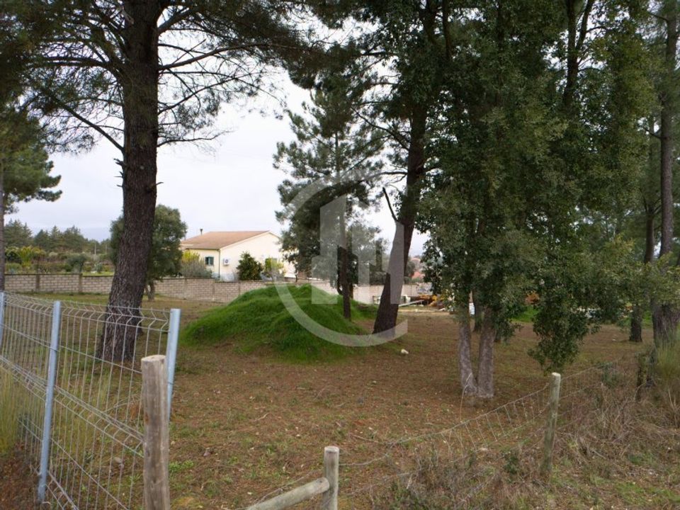 Helårsgrund i Fundao, Castelo Branco - foto 4