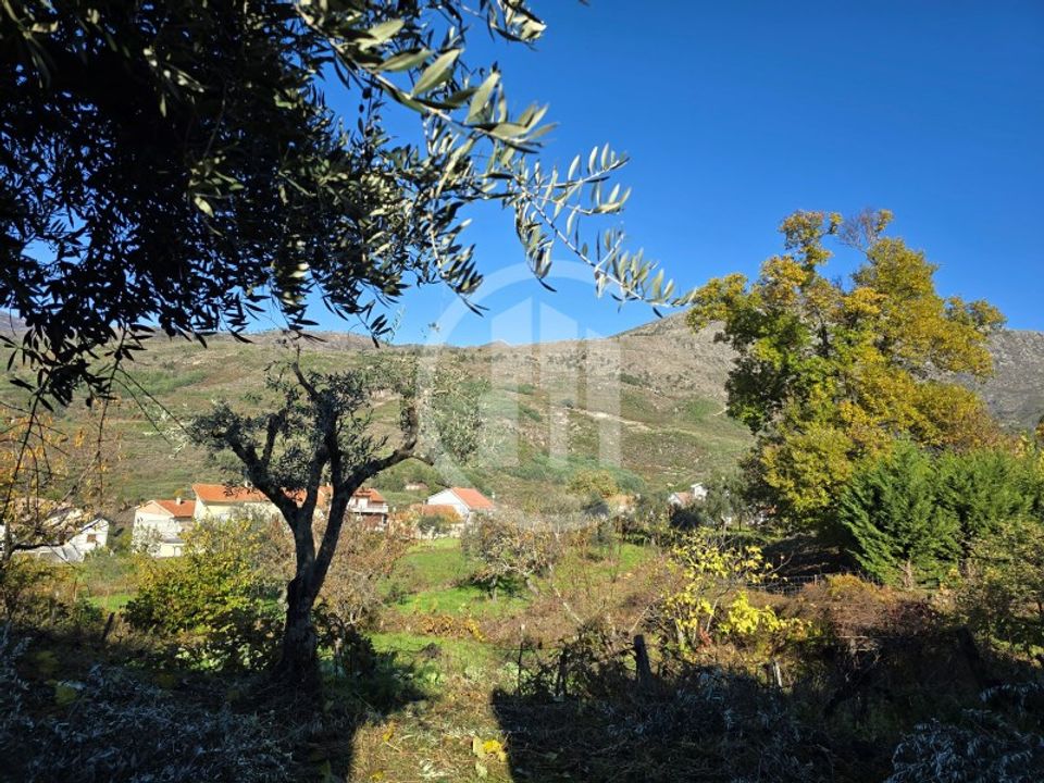 Helårsgrund i Covilha, Castelo Branco - foto 5