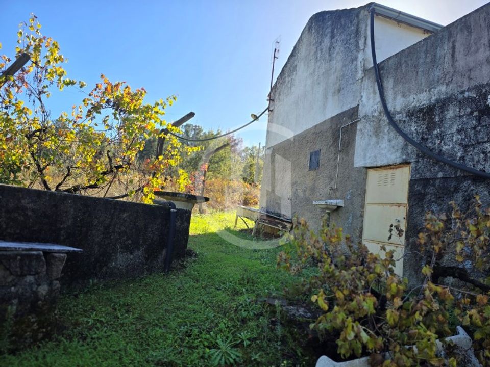 Quinta em Ferro, Castelo Branco - foto 5