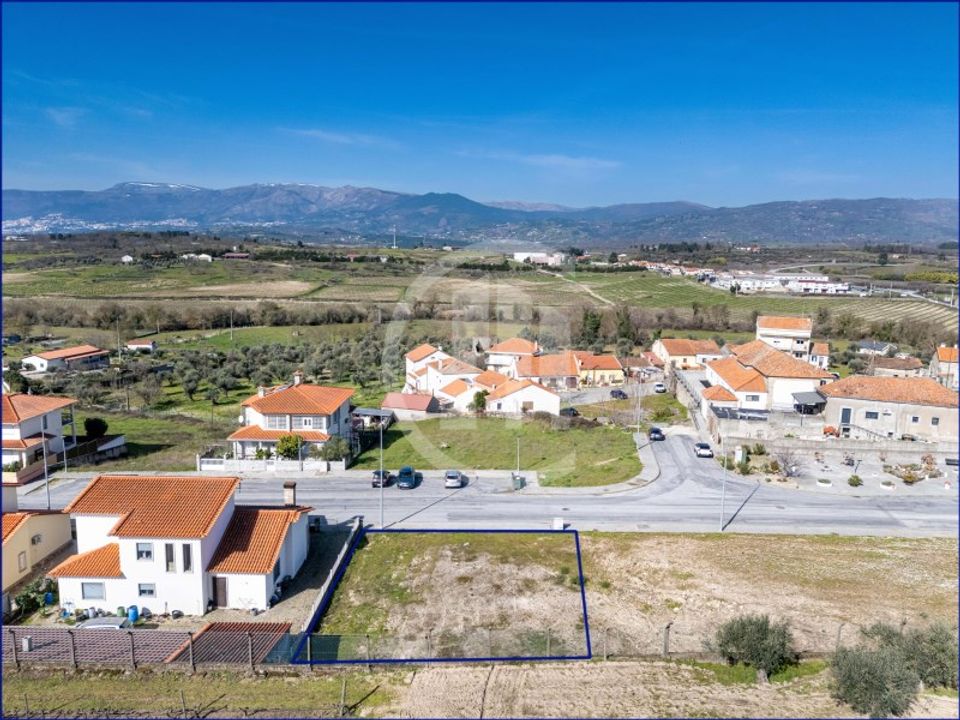 Terra em Caria, Castelo Branco - foto 3