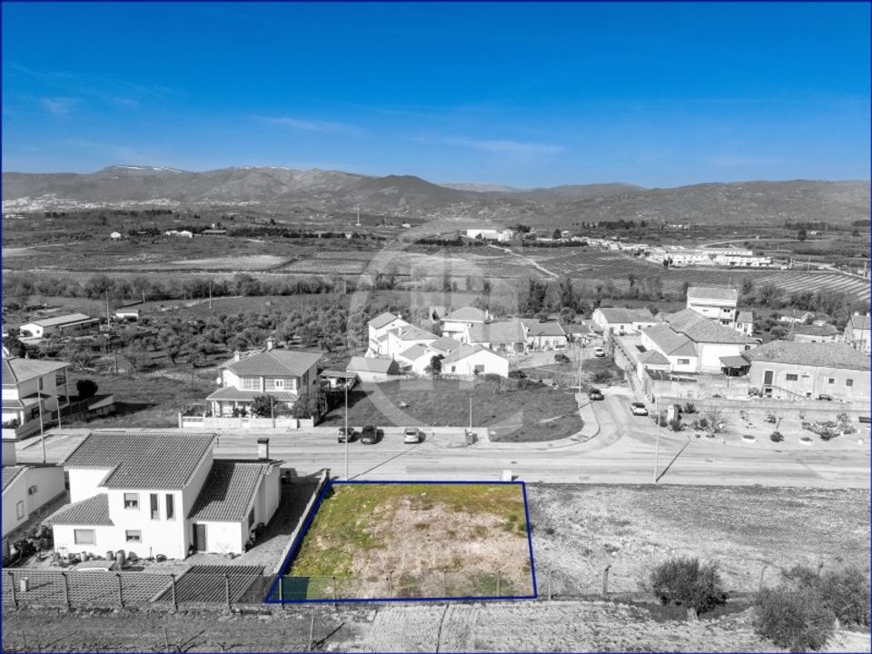Terra em Caria, Castelo Branco - foto 5