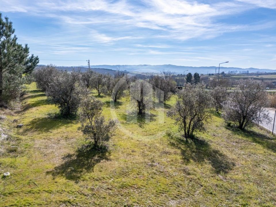 Helårsgrund i Covilha, Castelo Branco - foto 4