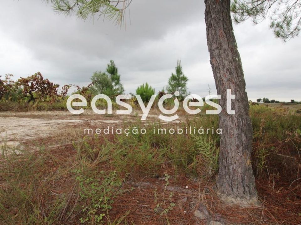 Helårsgrund i Vendas Novas, Evora - foto 4