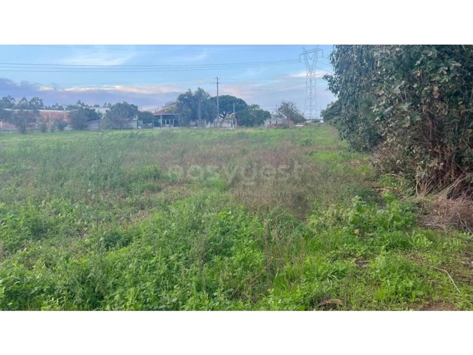 Helårsgrund i Souto da Carpalhosa e Ortigosa, Leiria - foto 4