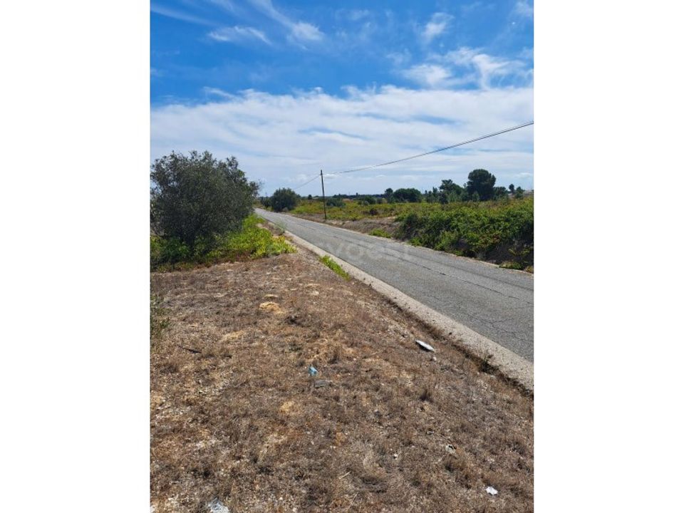 Helårsgrund i Palmela, Setubal - foto 3