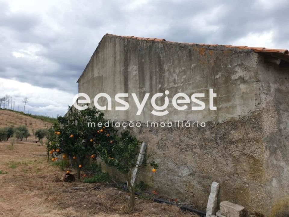 Farm i Travancinha, Guarda - foto 2
