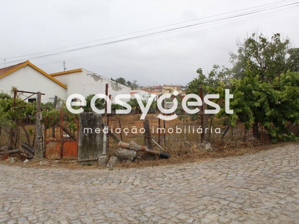 Helårsgrund i Vieira de Leiria, Leiria - foto 3