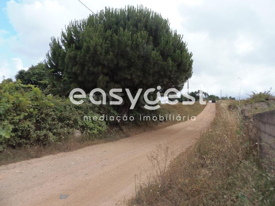 Terra em Cercal do Alentejo, Setubal - foto 1