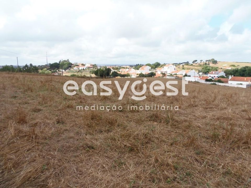 Terra em Cercal do Alentejo, Setubal - foto 3