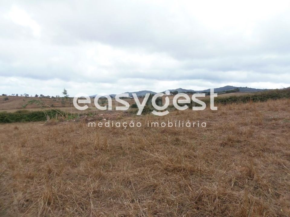 Terra em Cercal do Alentejo, Setubal - foto 5