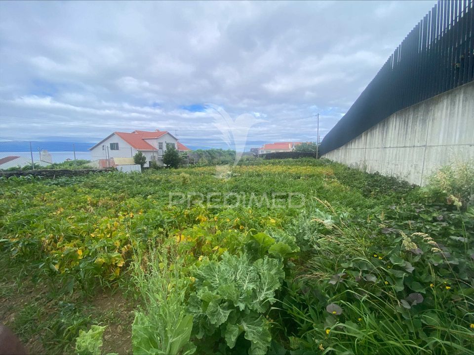 Działka: Calheta, Sao Jorge – zdjęcie 2
