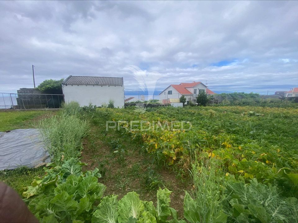 Działka: Calheta, Sao Jorge – zdjęcie 3