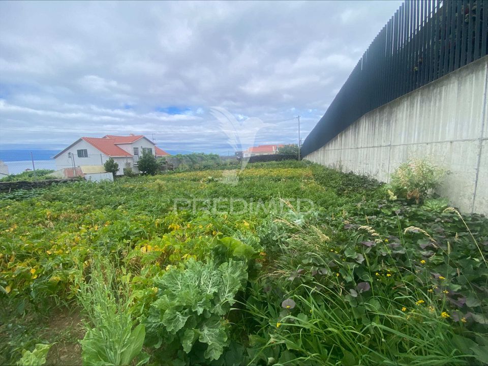 Działka: Calheta, Sao Jorge – zdjęcie 4