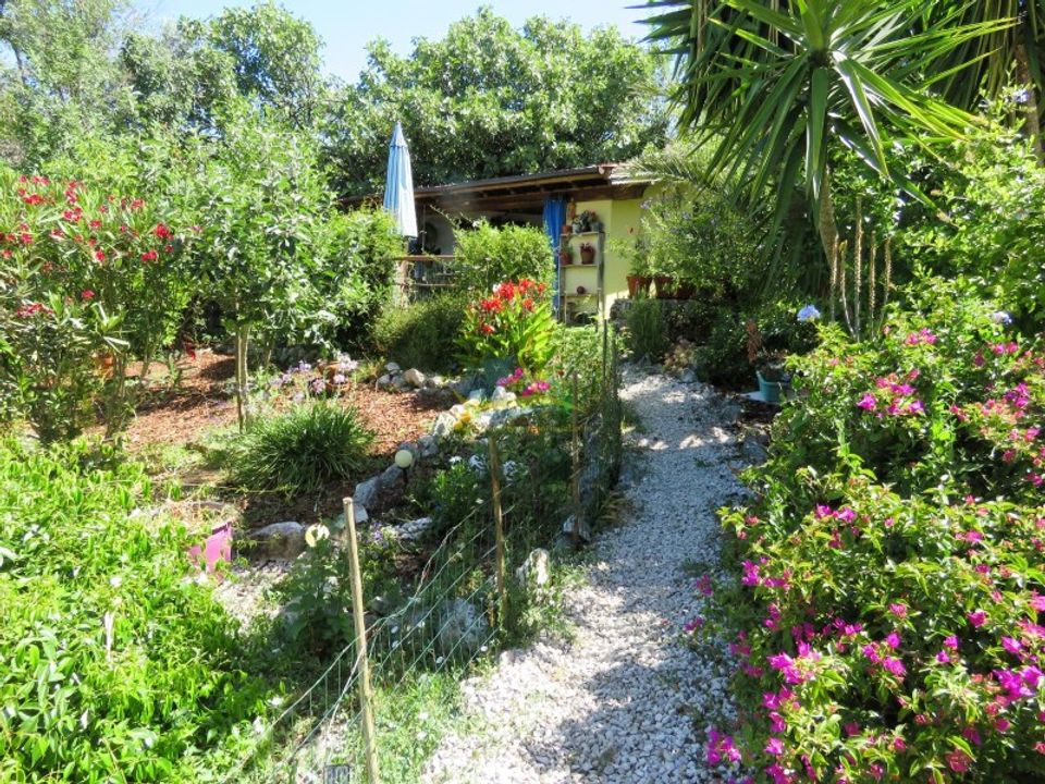 Villa in Ansiao, Leiria - foto 4