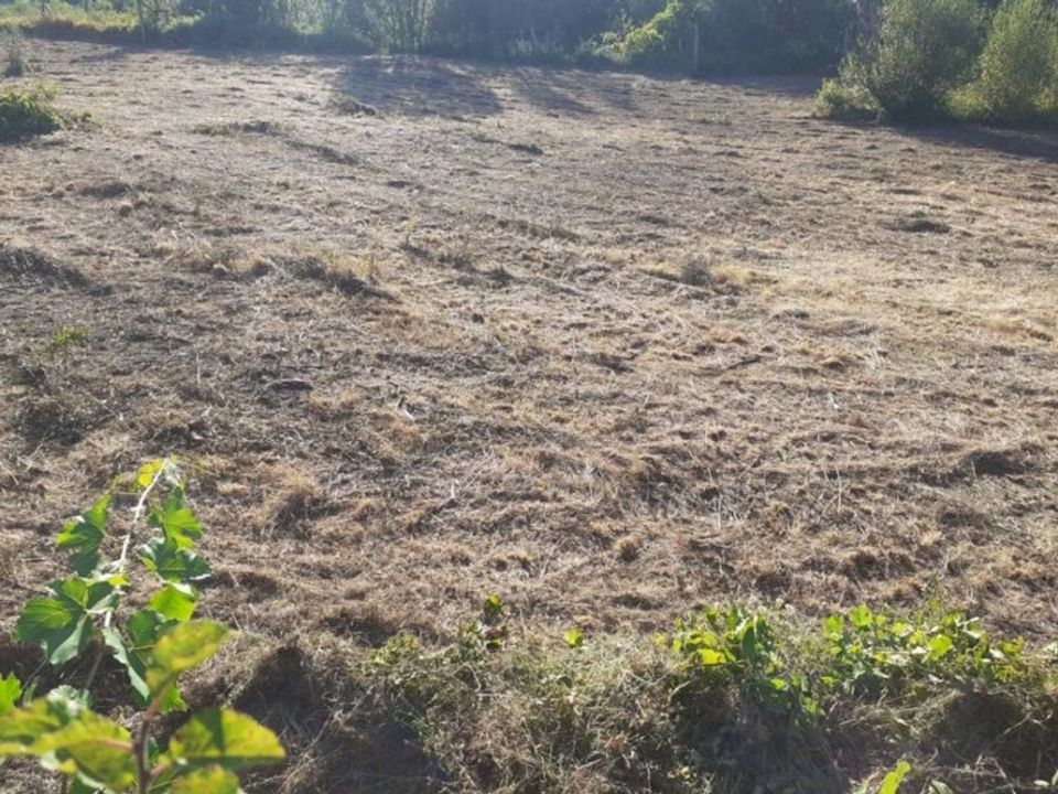 Boerderij in Penhalonga e Pacos de Gaiolo, Porto - foto 5