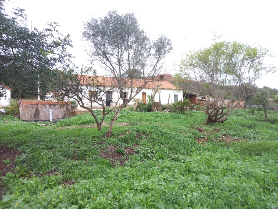 Farm i Mexilhoeira Grande, Faro - foto 1
