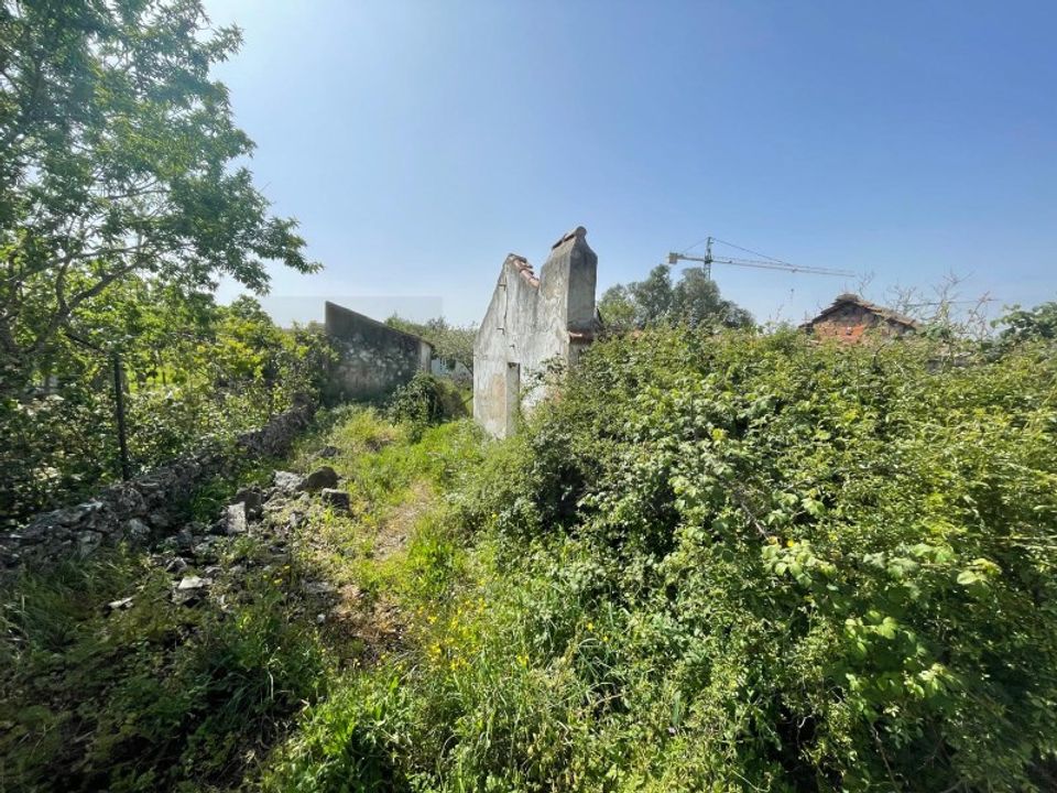 Helårsgrund i Sintra, Lisbon - foto 5