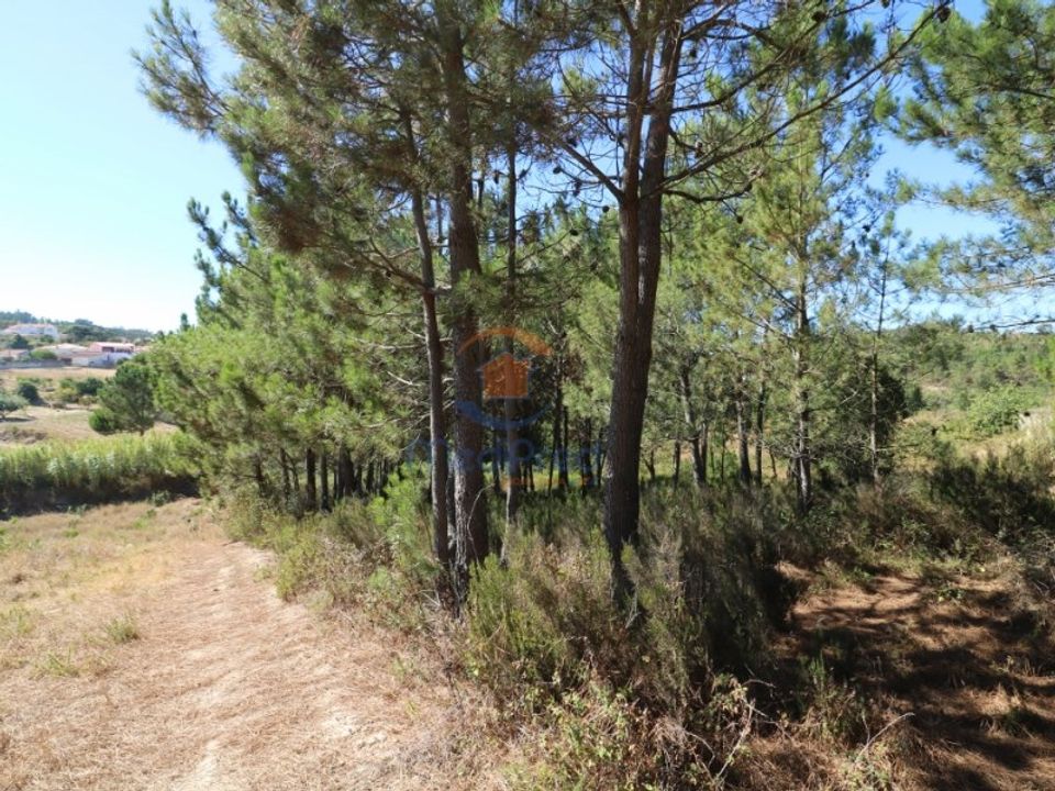 Helårsgrund i Matacaes, Lisbon - foto 1