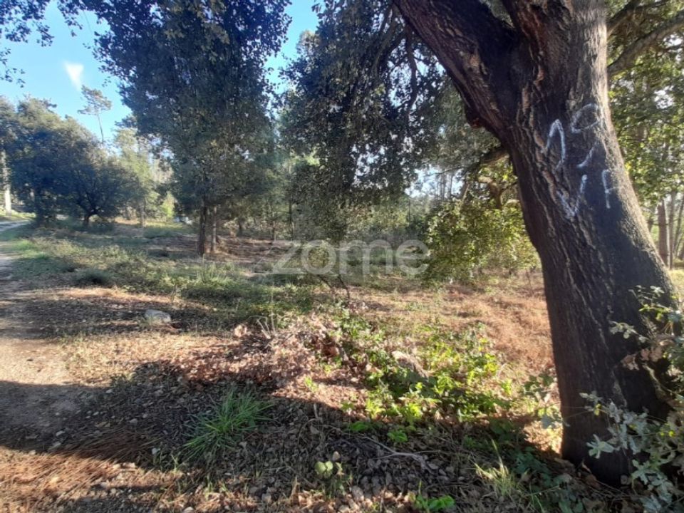 Terra em Maxial e Monte Redondo, Lisbon - foto 1