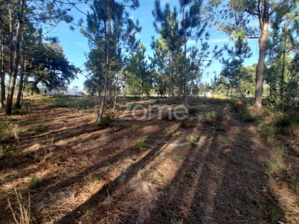 Terra em Maxial e Monte Redondo, Lisbon - foto 3