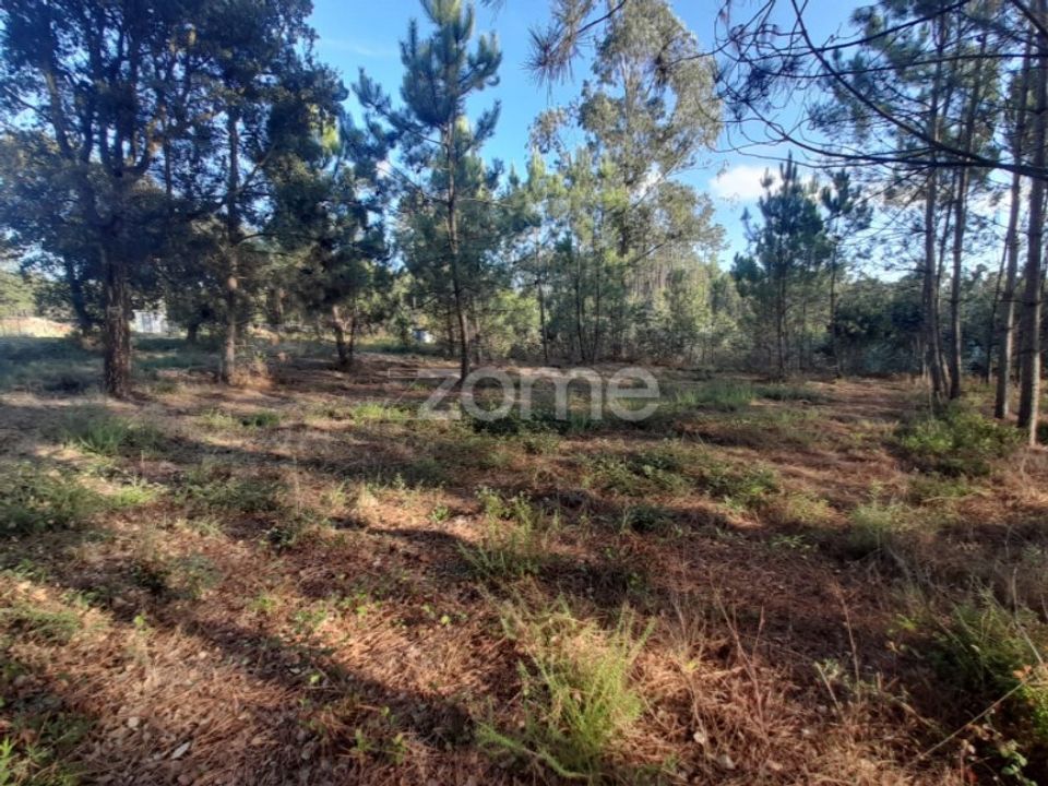 Terra em Maxial e Monte Redondo, Lisbon - foto 4