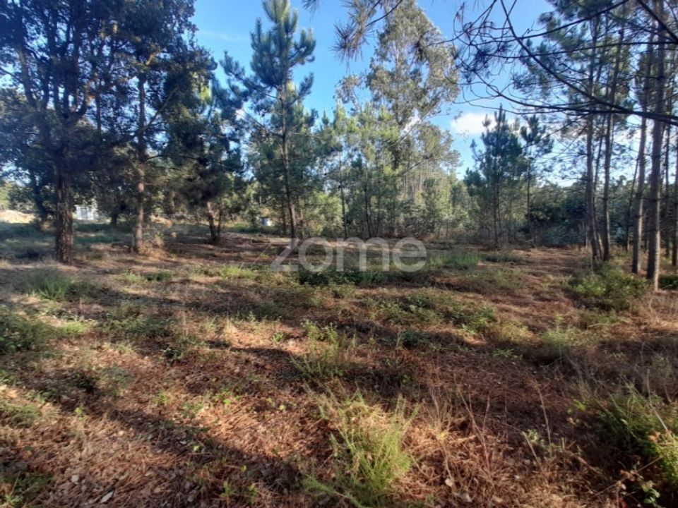 Terra em Maxial e Monte Redondo, Lisbon - foto 5