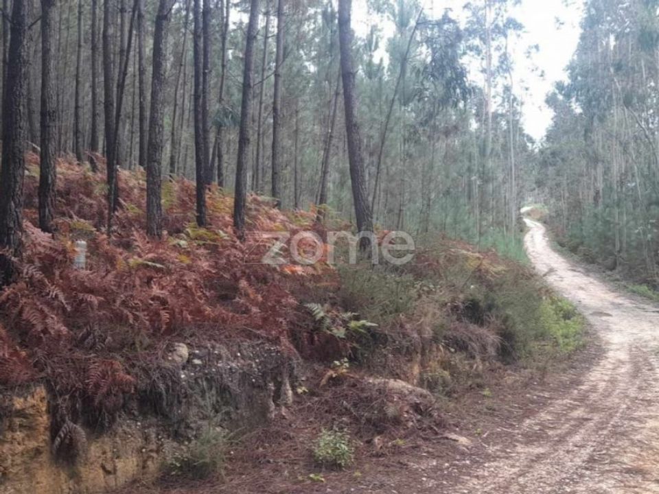 Helårsgrund i Pombal, Leiria - foto 1