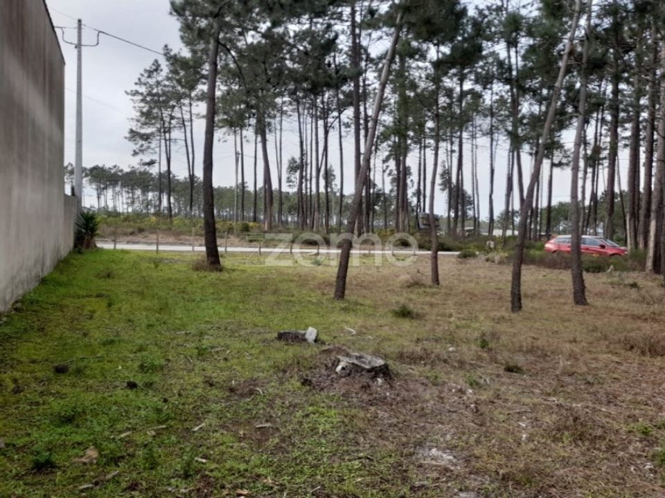 Helårsgrund i Pataias, Leiria - foto 2