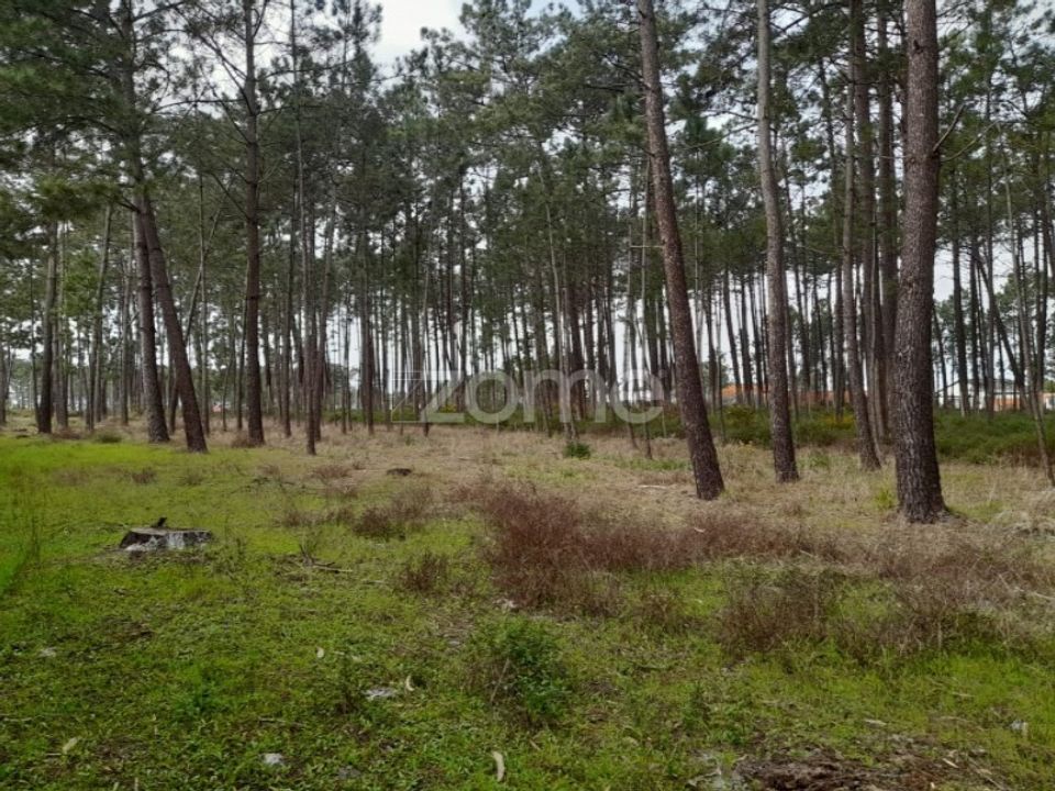 Helårsgrund i Pataias, Leiria - foto 4