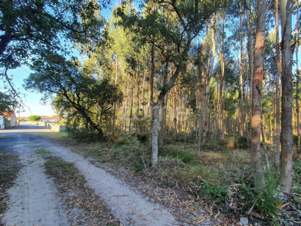Helårsgrund i Marinha Grande, Leiria - foto 1