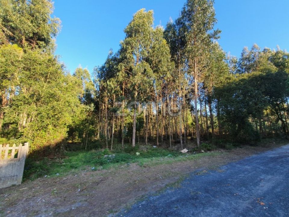 Helårsgrund i Marinha Grande, Leiria - foto 2
