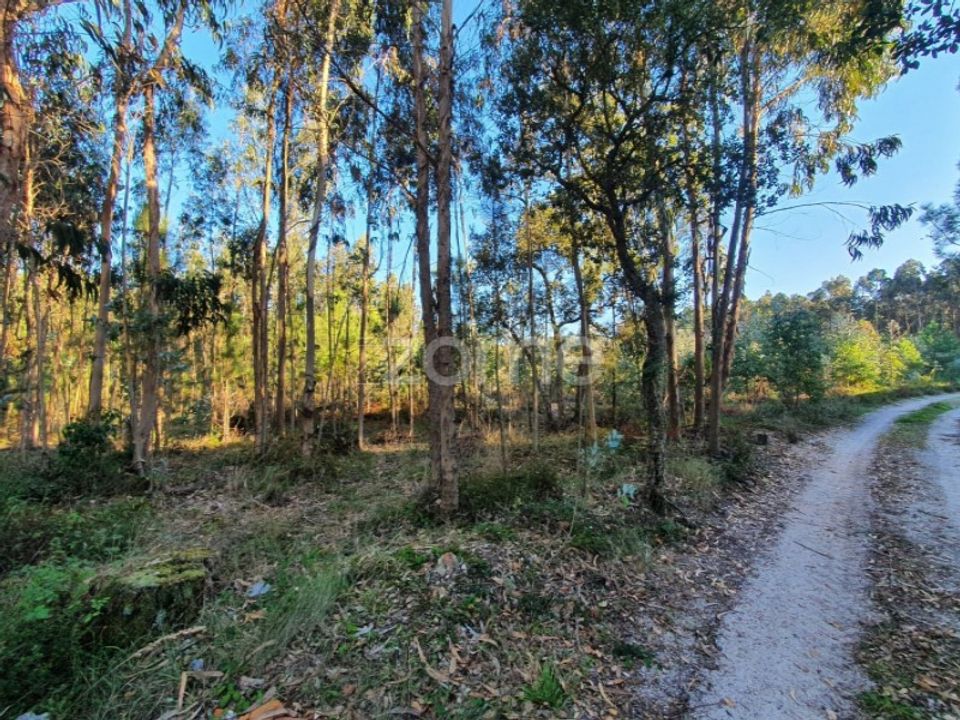 Helårsgrund i Marinha Grande, Leiria - foto 4