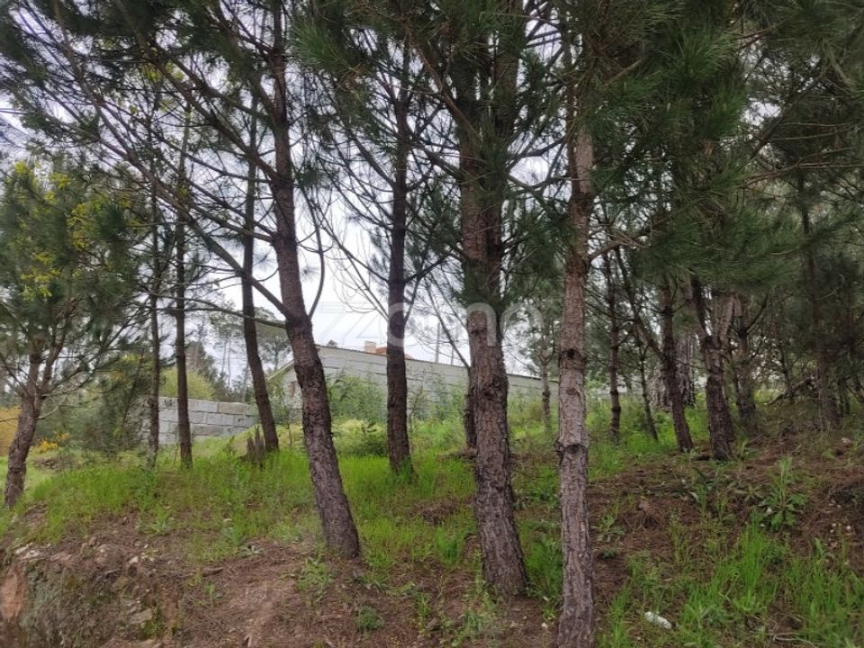 Terra em Nelas, Viseu - foto 1