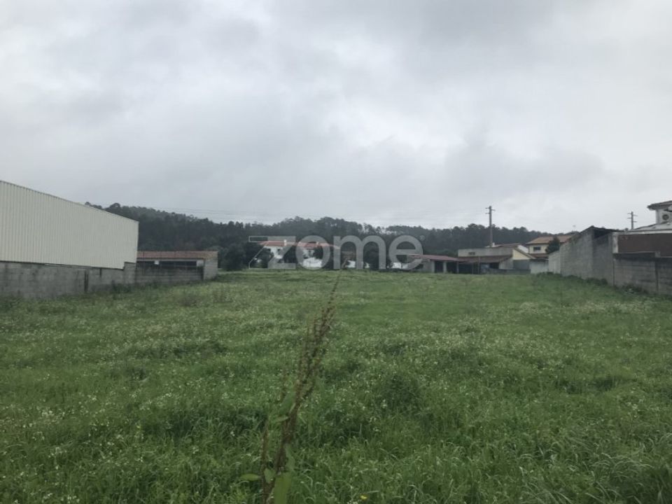 Helårsgrund i Souto da Carpalhosa e Ortigosa, Leiria - foto 3