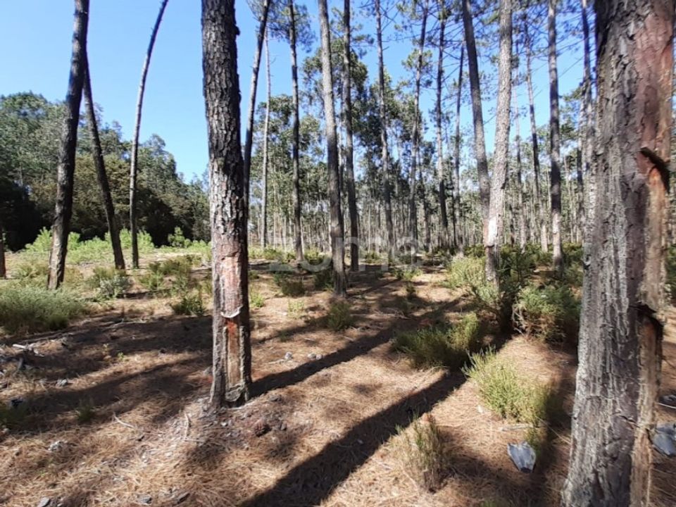 Terra em Maxial e Monte Redondo, Lisbon - foto 1
